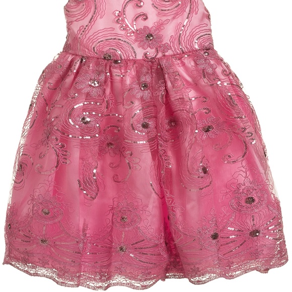 NEW Little Girls Fluffy Ruffled Tulle Pink Party Dress intricate design - Picture 2 of 4